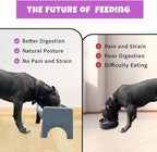 Fluff Trough Elevated Dog Bowl for Food | 5inch Tall Cat & Dog Feeding Station | Vet Approved Non-Toxic Silicone Feeder Bowl Insert | Raised Bowl for Medium and Small Dog/Pet with Flat Face (Gray)