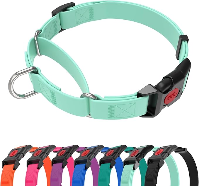 Waterproof Martingale Collar for Dogs,Easy to Clean Dog Collars with Safety Quick Release Buckle,Rubber Collar for Medium Large Dogs Walking Training (Mint Green, L (19.6-25.9inch))