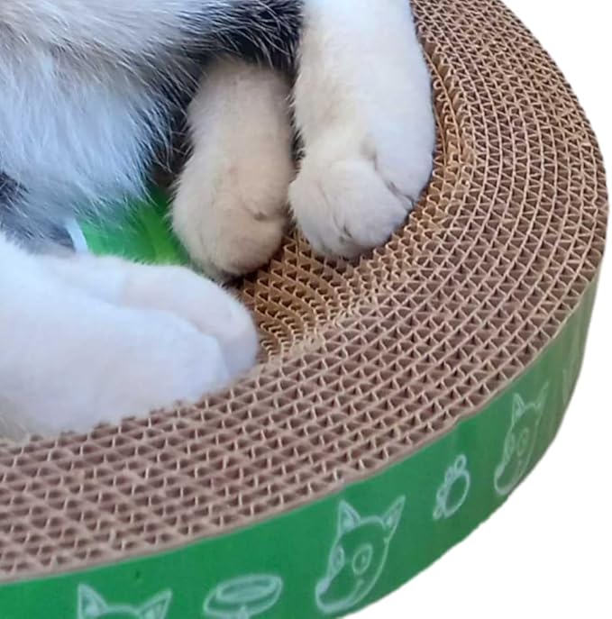 B Kitty Scratcher Cat Bed, Fun for Your Purr-FECT Feline (Round)