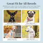 Lucky Love Dog - Adjustable Dog Collar with Easy Click Buckle for Small Dogs, Durable, & Comfortable for Male & Female Dogs, Pet Collar for Puppies & Adult Dogs - Ladybird, Small