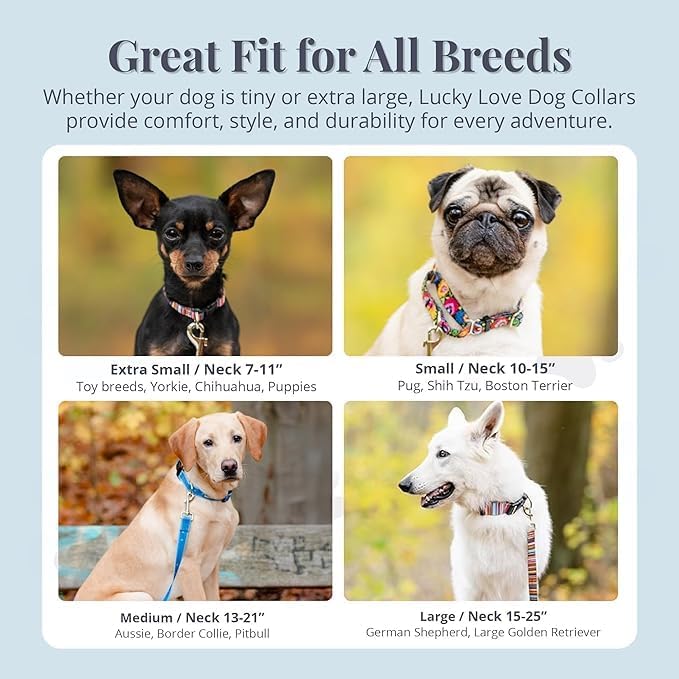 Lucky Love Dog - Adjustable Dog Collar with Easy Click Buckle for Small Dogs, Durable, & Comfortable for Male & Female Dogs, Pet Collar for Puppies & Adult Dogs - Ladybird, Small