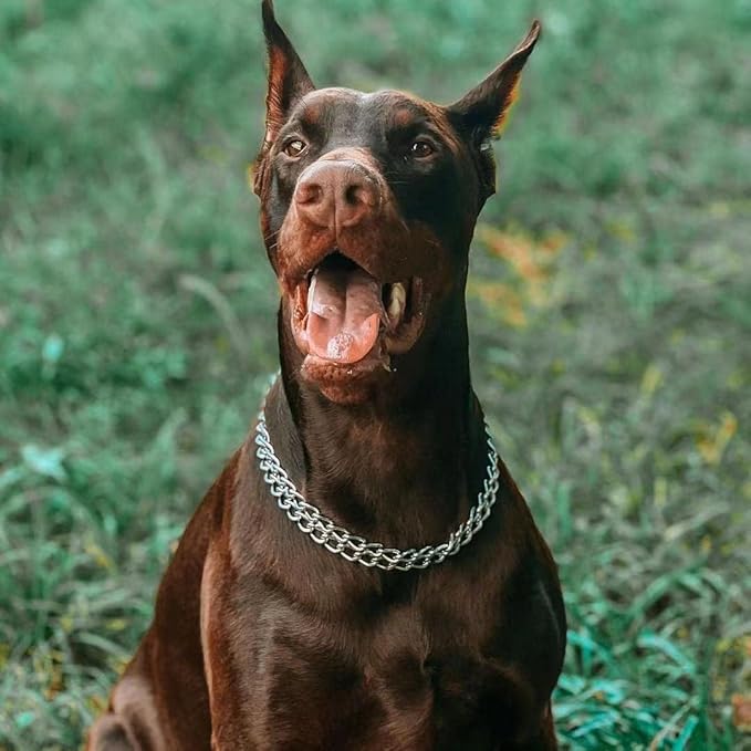 Silver Dog Chain Collar for Large Dogs, Heavy Duty Metal Slip Choke Collar Martingale Collars Training Double Row Chains Choker Collar for Small Medium Large Dog, D3mm