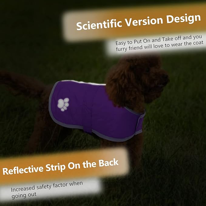Queenmore Dog Winter Coat, Cold Weather Fleece Jacket for Dogs, Waterproof Reflective Reversible, for Small, Medium and Large Dogs (Purple, M)