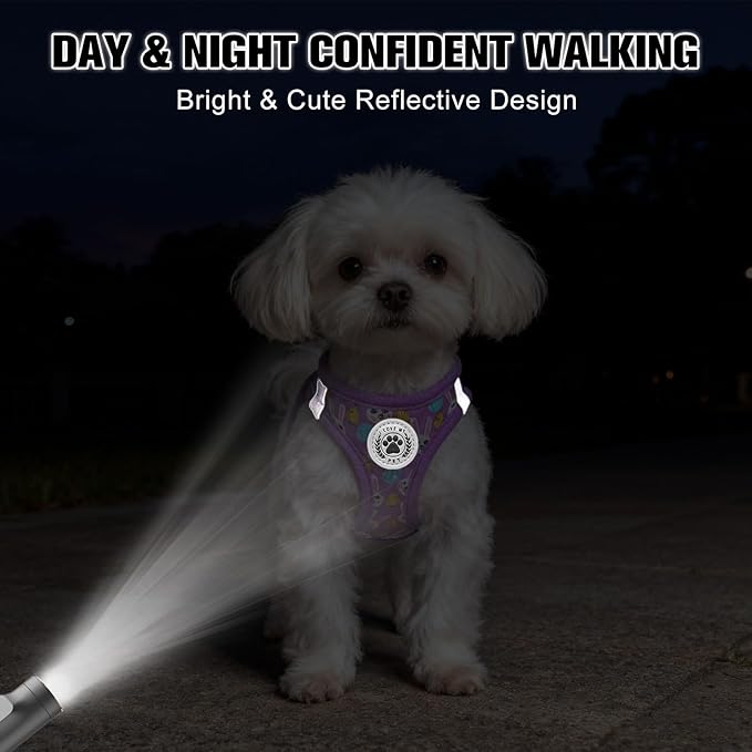 BEAUTYZOO Easter Dog Harness and Leash Set,Step in No Choke No Pull Soft Mesh Dog Harnesses Reflective for XSmall/Small Puppy Dogs Cats, Cute Coloful Egg Dog Vest for Outdoor Walking,Purple XS