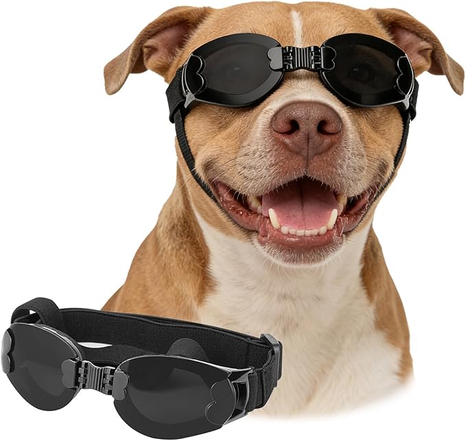 PETLESO Dog Goggles Large Breeds, UV Protection Dog Sunglasses, Outdoor Activities Hiking/Camping Windproof Adjustable Doggy Glasses for Medium to Large Pet Eyewear