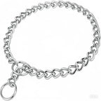 Dog Chain Collars, Metal Choke Link Dog Collar Choker Training Heavy Duty Slip Martingale Puppy Collars for XS Small Medium Large Big XL Breed Dogs (Silver, S(Neck Max 16inch) D2.5mm)
