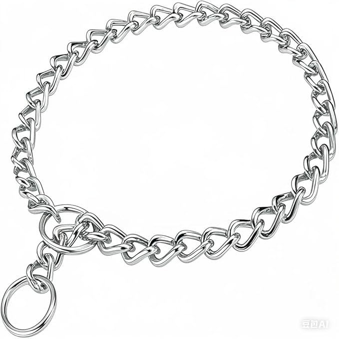 Dog Chain Collars, Metal Choke Link Dog Collar Choker Training Heavy Duty Slip Martingale Puppy Collars for XS Small Medium Large Big XL Breed Dogs (Silver, XS(Neck Max 12inch) D2.0mm)