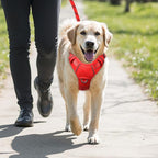 BARKBAY No Pull Dog Harness Large Reflective Dog Harness with Front Clip and Easy Control Handle for Walking Training Running with ID tag Pocket(Red,L)