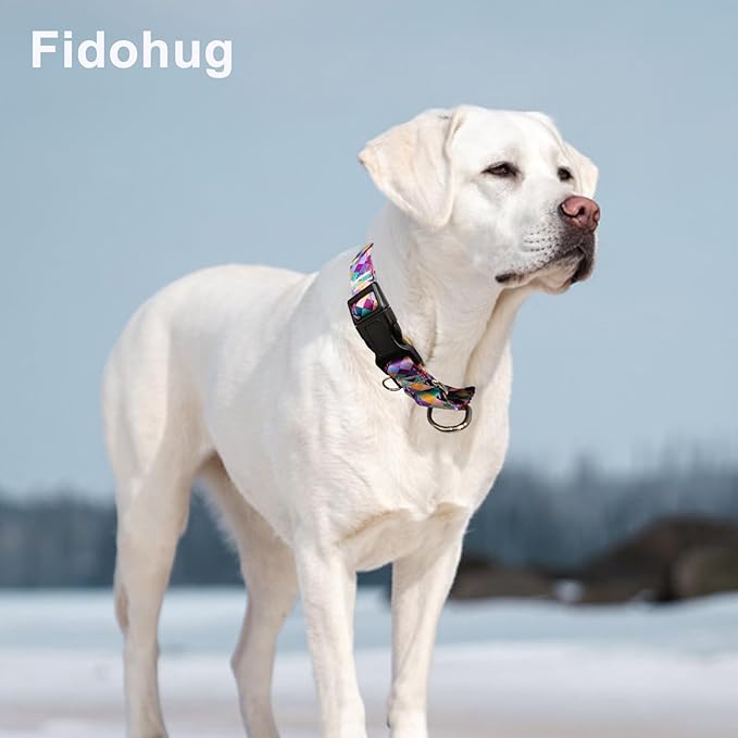 Reflective Martingale Collar for Dogs with Quick Release Buckle No Pull Training Dog Collars (Colorful Geometric, XSmall)