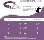 Martingale Collar for Dogs No-Pull Adjustable Training Collar with Stainless Steel Chain - Genuine Leather Anti-Slip Design for Small,Medium,Large Breed Dogs - Purple (S)