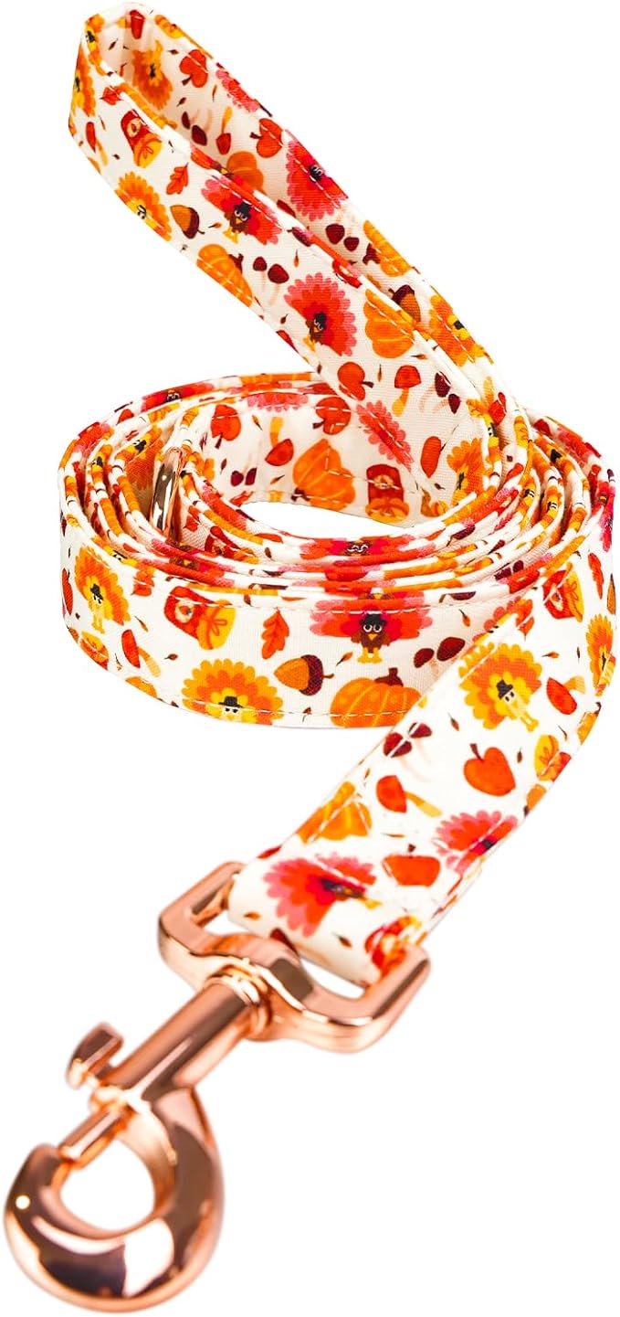Tunkoo Dog Leash Pumpkin and Turkey Pattern - Durable, Stylish Thanksgiving Pet Leash, Available in Small, Medium and Large, Daily Walking Puppy Leash, S