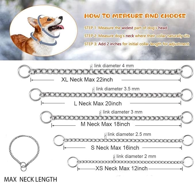 Silver Chain Dog Collar,Metal Slip Link Puppy Dog Chain Martingale Collar Heavy Duty Training Collar Boy Girl for XS Small Medium Large Big Breed Pet,M