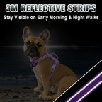 BARKBAY No Pull Dog Harness Large Reflective Dog Harness with Front Clip and Easy Control Handle for Walking Training Running with ID tag Pocket(Purple,S)