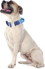 Tactical Dog Collar, 1.5" Wide Thick Heavy Duty Dog Collar with Handle, Soft Neoprene Padded Military-Grade Nylon Training Collar with Quick Release Metal Buckle for Medium Dogs (Blue, M)