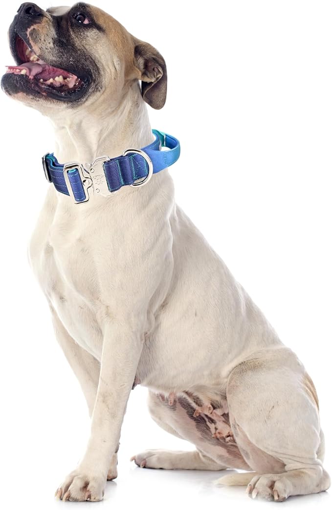 Tactical Dog Collar, 1.5" Wide Thick Heavy Duty Dog Collar with Handle, Soft Neoprene Padded Military-Grade Nylon Training Collar with Quick Release Metal Buckle for Large Dogs (Blue, L,XL)