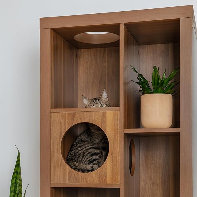 4 Cats & Dogs Cliff Jr. Cat Tree Bookshelf – Stylish Multi-Level Cat Climbing & Hiding Shelf, Space-Saving Bookshelf with 7 Levels, Wall-Mounted Secure Cat Furniture, Oak (58.5" x 23.75" x 15.5")