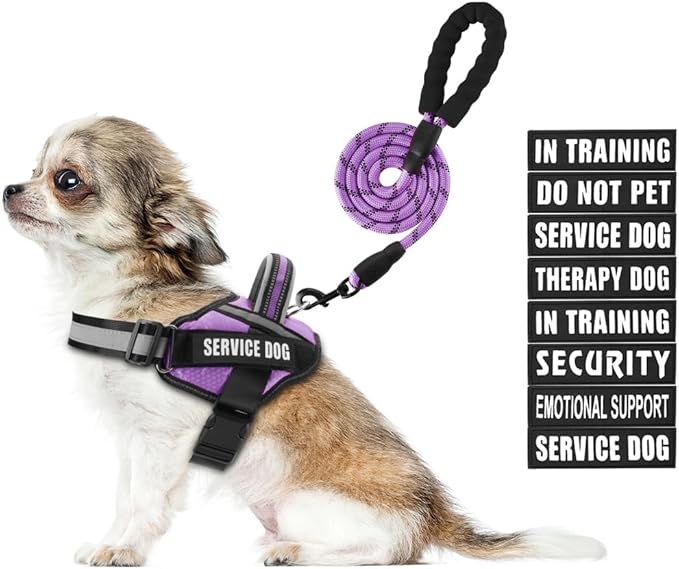 Service Dog Harness and Leash Set, XS, Purple, with 10 Patches, Reflective, for Small Dogs