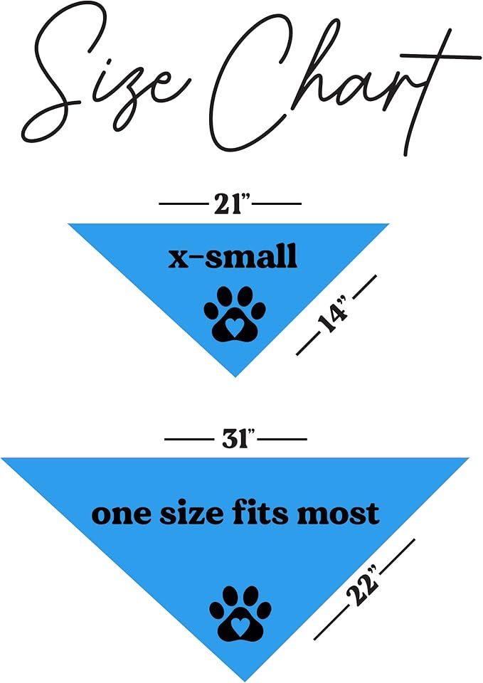 Workout Buddy Dog Bandana | 100% Cotton Adjustable Triangle | Made in USA | Workout | Sports | Gym | Turquoise, One Size (1095)
