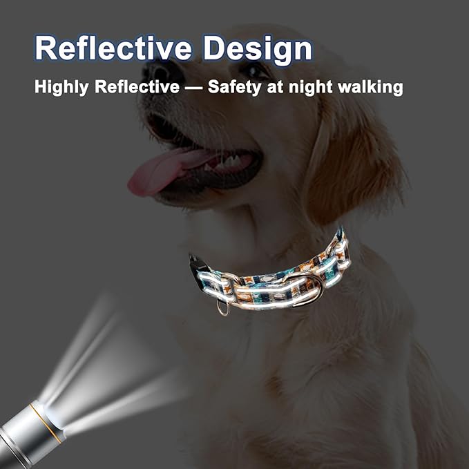 Reflective Martingale Collar with Buckle Shark Starfish Ethnic Stripe Adjustable Designer Dog Collars (Underwater World, XSmall)