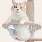 Transparent Space Capsule Dome Cat Bed for Floot to Ceiling Cat Tree Parts, Dia 11.8 Inches