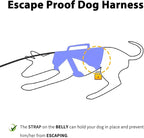 Huntboo Escape Proof Dog Harness, Escape Artist Harness, Reflective Dog Harness with Handle, Durable,Adjustable Vest for Small Medium Large Dogs Walking, Training, and Running Gear(Technicolor Blue,M)