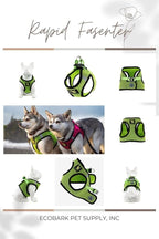 EcoBark Step in Dog Harness Reflective Soft Ultra Padded Mesh Dog Harnesses for XXS, XS, Small, and Medium Dogs Eco-Friendly Comfort Secure Halter No Pull Adjustable Pet Vest