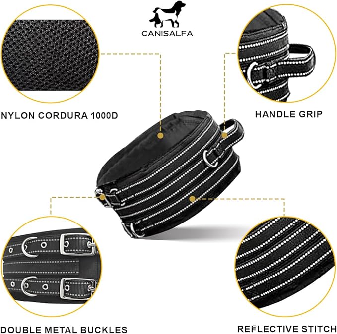 Protective Tactical Dog 4" Wide Collar for Medium Dogs – Heavy-Duty Adjustable Nylon Collar with Control Handle, Quick-Release Metal Buckle & D-Ring for Training, Play & Outdoor Safety
