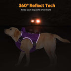 Heavy-Duty Tactical Dog Harness for Large Dogs, No Pull Adjustable Reflective Pet Vest with Molle System, K9 Military-Grade Control for Service Training, Outdoor & 10+ Breeds, Purple, Medium