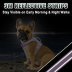 BARKBAY No Pull Dog Harness Large Reflective Dog Harness with Front Clip and Easy Control Handle for Walking Training Running with ID tag Pocket(Violet Purple,XS)