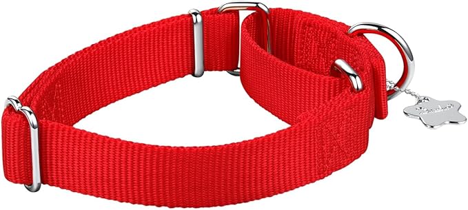 Martingale Dog Collar, Escape-Proof and No Slip Design, Heavy-Duty Nylon with Metal Buckle, Adjustable for Small, Medium & Large Dogs, Colorfast for Training, Daily Walks (Festive Red, M)