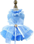 ANIAC Daisy Small Dog Dresses Female with Leash Ring,Bow Knot Girl Puppy Wedding Dress,Valentine's Cat Outfit,Fancy Pet Party Dress for Kitten Chihuahua Yorkie Pomeranian (Blue, X-Small)