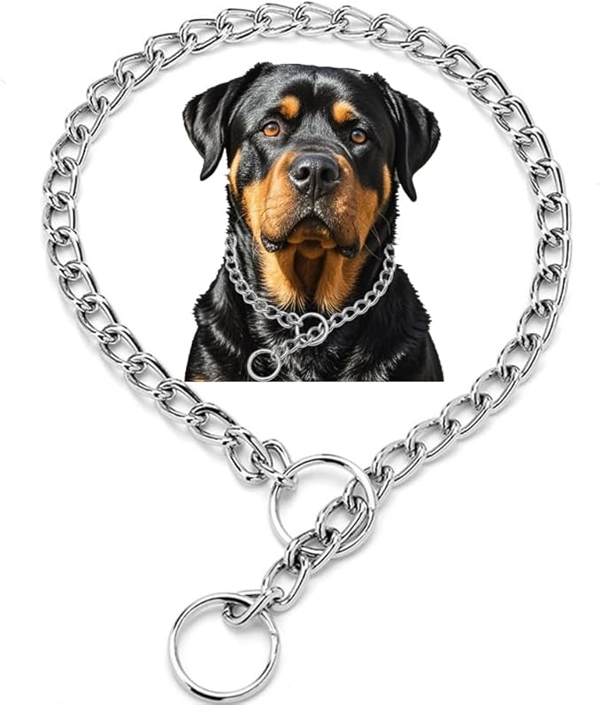 Metal Slip P Chain for Large Dogs,Heavy Duty Martingale Collars Training Durable Link Puppy Chain for XXS XS Small Medium Dog, Silver XL