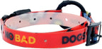 Dogtra Tom Davis Quick Release 3/4" Inch Strap with Buckle Waterproof Biothane for Remote Training E-Collar Easy Adjustable Comfortable for 280C 2.0 Receiver 28" - Red