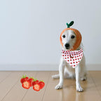 Elegant Little Tail Reversible Cotton Triangle Dog Scarf - Summer Kerchief Strawberry Print Washable Cotton Bibs for Small to Large Dogs
