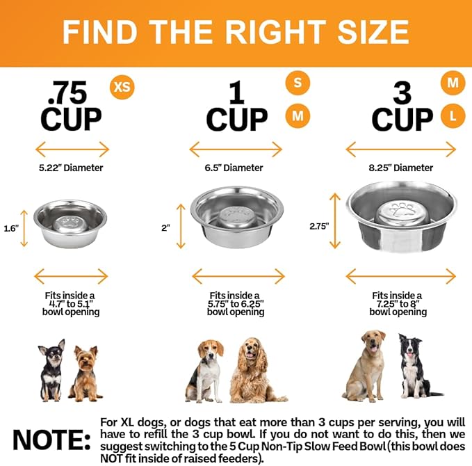 Neater Pet Brands Stainless Steel Slow Feed Dog Bowl for Fast Eating Small Breeds, Metal Slow Feeder Dog Bowl Fits in Cat & Small Neater Feeders, for Puppy or Dogs (< 15 lbs), 3/4 Cup Food Capacity