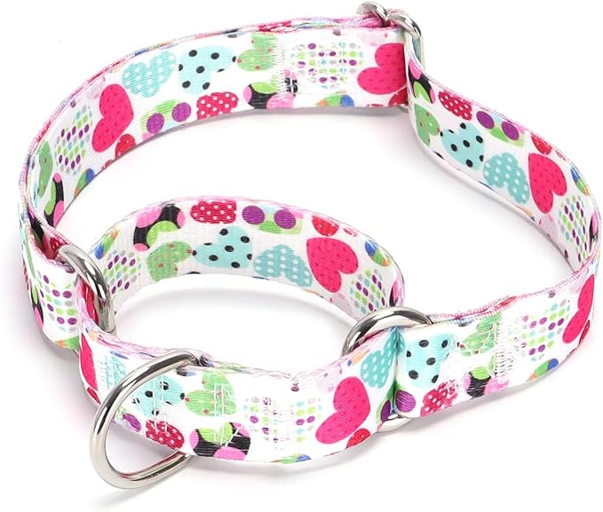 Serijoars Adjustable Martingale Dog Collar Heavy Duty Nylon Dog Collar for Medium Large Dogs Walking Training Boy and Girl Dogs (NO11, M)