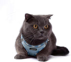 AMTOR Small Dog Harness with Leash Set, No Escape Easy Walk Puppy Harnesses for Training Walking, Step-in Reflective Soft Dogs Vest for XS S Medium Extra-Small Large Sized Dog(M Size,Blue/White)