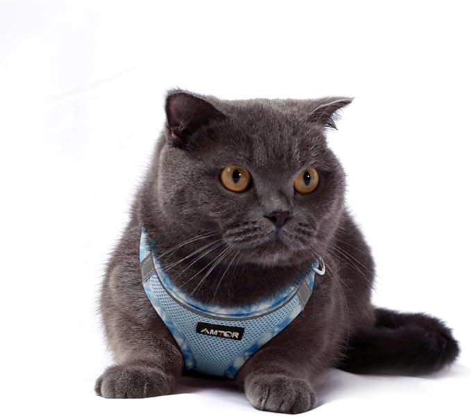 AMTOR Small Dog Harness with Leash Set, No Escape Easy Walk Puppy Harnesses for Training Walking, Step-in Reflective Soft Dogs Vest for XS S Medium Extra-Small Large Sized Dog(M Size,Blue/White)