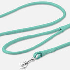 CollarDirect Rolled Leather Dog Leash 4ft, Soft Padded Training Leather Dog Lead 6ft, Puppy Leash Rolled Leather Small Medium Large Black Blue Red Orange Green Pink White (Mint Green, Size XL 6ft)