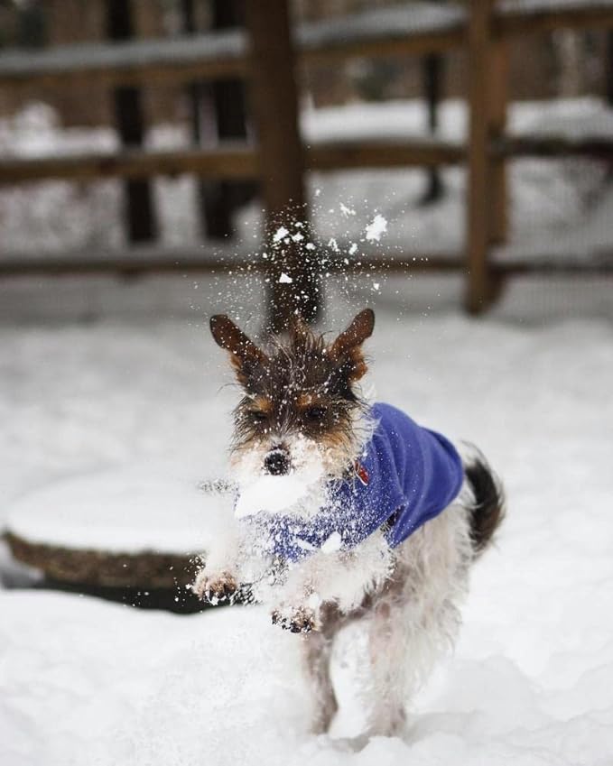Gooby - Stretch Fleece Vest, Pullover Fleece Vest Jacket Sweater for Dogs, Violet, Medium