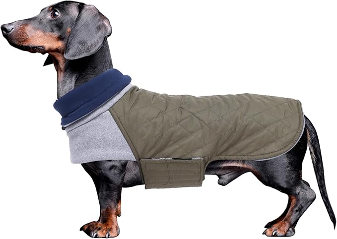 Geyecete Dachshund Coat,Dachshund Winter Coat,Warm Waterproof Windproof, High Neckine String Holes Miniature Dachshund Jacket for Small Dog-Green-XS