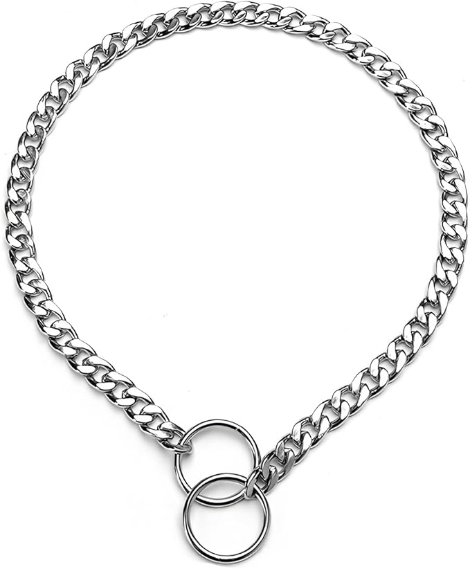 Flat Choke Chain for Dogs, Metal Slip P-Link Training Heavy Duty Dog Choke Collar Puppy Collars for Small Medium Large Big XL Breed Dogs, Silver L