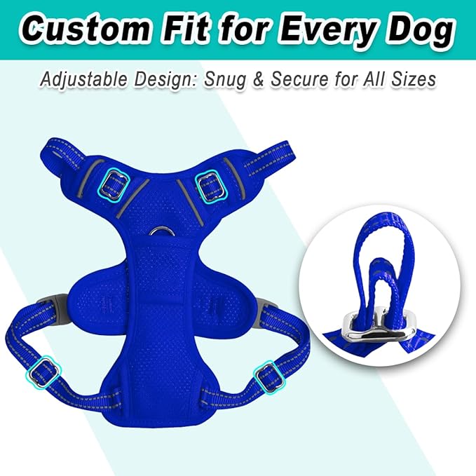BARKBAY Dog Harness No Pull Mesh for Small Dogs - Adjustable, Reflective, Comfortable, No Choke, Heavy-Duty - Perfect for Outdoor Training, Walking, and Hiking-Strong&Durable- S & Sapphire Blue Mesh
