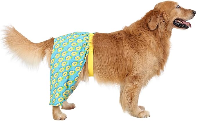 HDE Dog Swim Trunks Hawaiian Board Shorts Beach Pool Swimsuit for XS to XXL Dogs Pineapple Floats - XXL