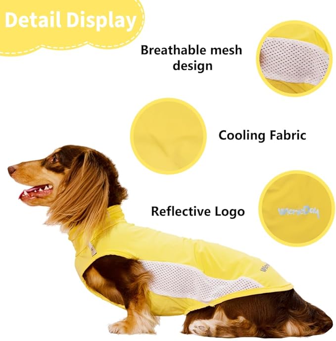 Dachshund Dog Cooling Vest, Breathable Summer Dog Cooling & Quick-Dry Shirt for Outdoor Activities,Mini Dachshund Lightweight Clothes, Vest Small Dogs (Yellow, XL (22-27 lbs))