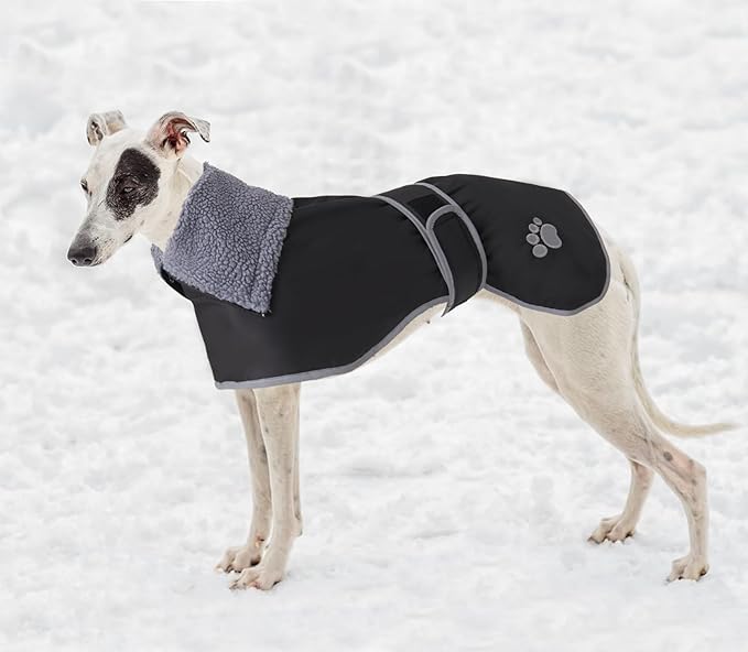 Geyecete Dog Winter Coat Geyecete Greyhound Raincoat Fabric with Lamb Velvet Inside Outdoor Dog Apparel with Adjustable Bands for Medium, Large Dog-Black-XL