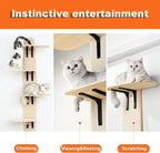 Cat Tree Door Hanger, Door Hanging Cat Climber Shelves, 4-Levels Mounted Over Door Cat Climber for Indoor Cats