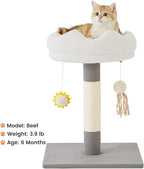 Gardner Pet 20" Cat Tree, Solid Wood Small Cat Tree with Cat Scratching-Posts & Hanging Toys for Kittens(Grey, Circle-Corduroy)