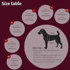 Warm Dog Winter Coat, Dog Cold Weather Jacket with Built-in Harness, Reflective & Adjustable Comfortable Pet Vest, Windproof Apparel for Small Medium Large Dogs (Purple)