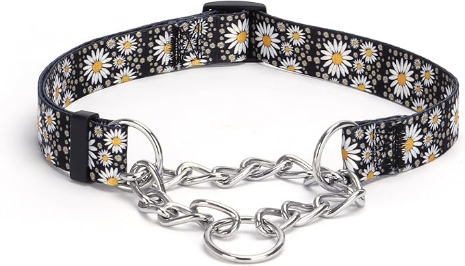 Martingale Dog Collar - Stainless Steel Chain, No Pull Training Collar with Flower Design for Large Medium Small Dogs (S, Daisy)